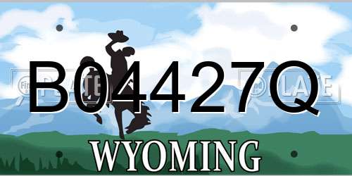 B04427Q Wyoming License Plate