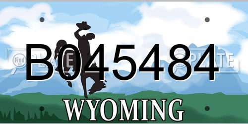 B045484 Wyoming License Plate