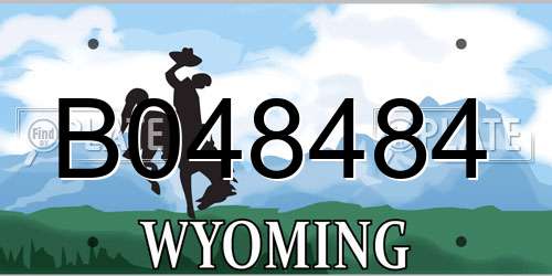 B048484 Wyoming License Plate