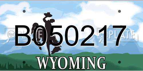 B050217 Wyoming License Plate