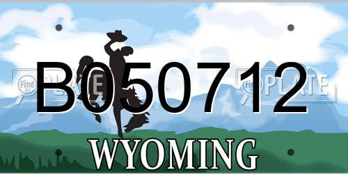 B050712 Wyoming License Plate