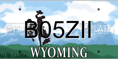 B05ZII Wyoming License Plate