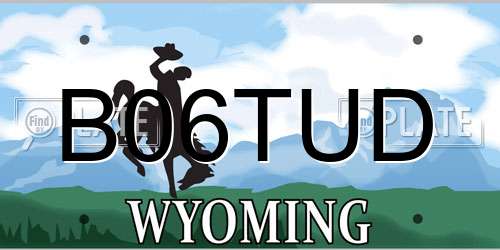 B06TUD Wyoming License Plate