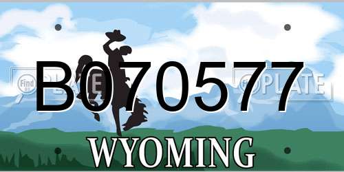B070577 Wyoming License Plate