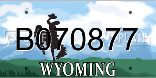 B070877 Wyoming License Plate