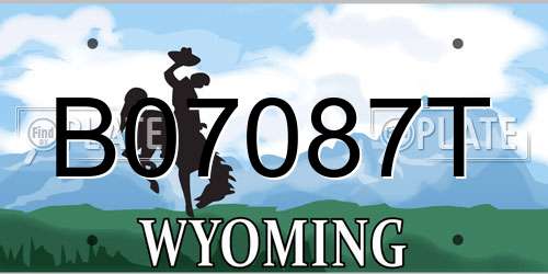 B07087T Wyoming License Plate