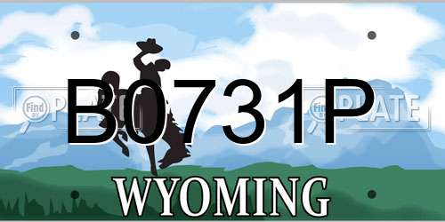 B0731P Wyoming License Plate