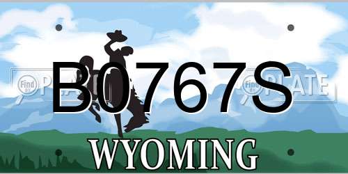 B0767S Wyoming License Plate