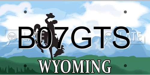 B07GTS Wyoming License Plate