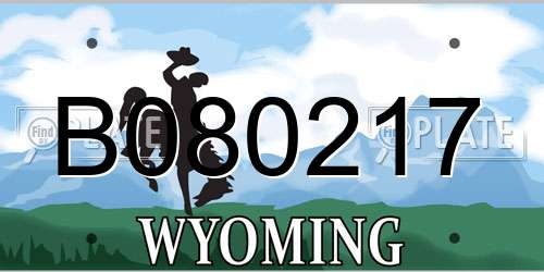 B080217 Wyoming License Plate