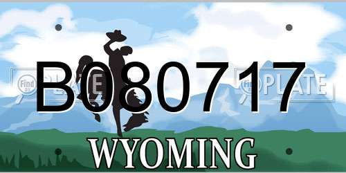 B080717 Wyoming License Plate