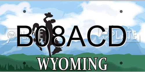 B08ACD Wyoming License Plate