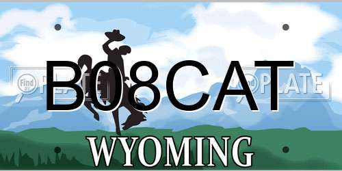B08CAT Wyoming License Plate