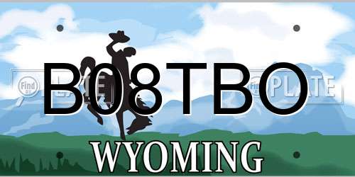 B08TBO Wyoming License Plate