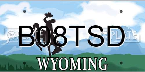 B08TSD Wyoming License Plate
