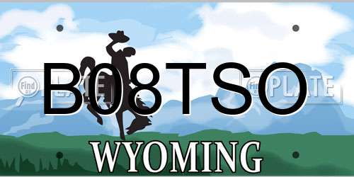 B08TSO Wyoming License Plate