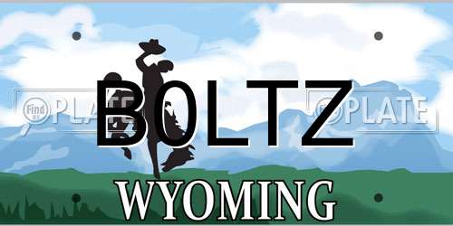 B0LTZ Wyoming License Plate
