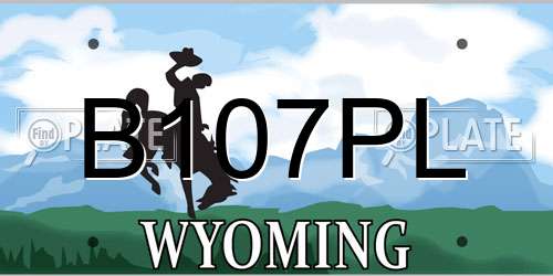 B107PL Wyoming License Plate