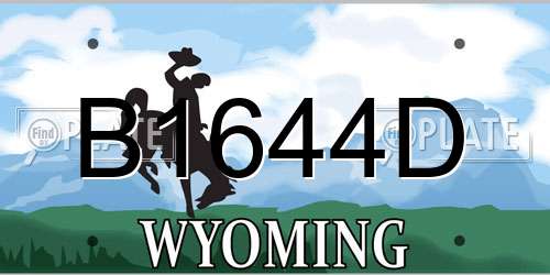 B1644D Wyoming License Plate