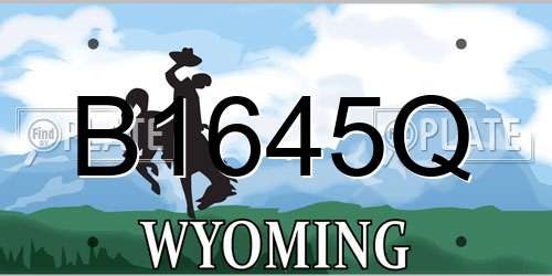 B1645Q Wyoming License Plate