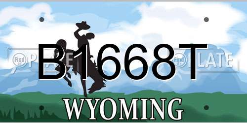 B1668T Wyoming License Plate