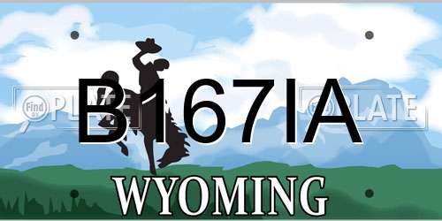 B167IA Wyoming License Plate
