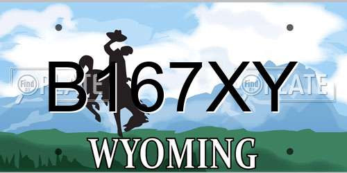 B167XY Wyoming License Plate