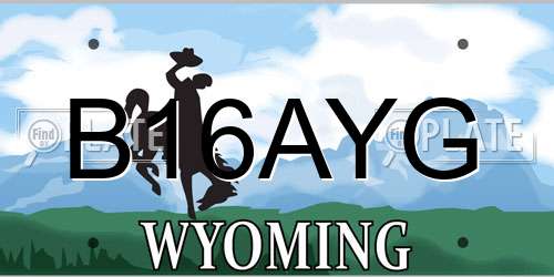 B16AYG Wyoming License Plate