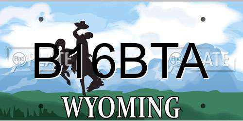 B16BTA Wyoming License Plate
