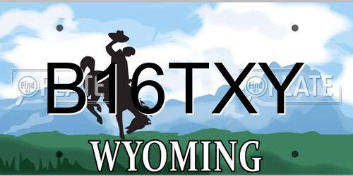 B16TXY Wyoming License Plate