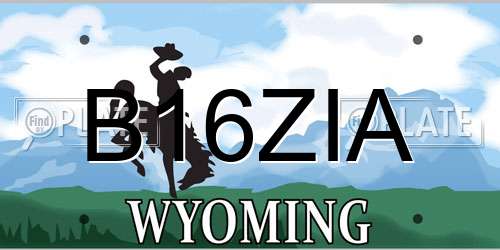 B16ZIA Wyoming License Plate
