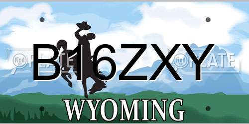 B16ZXY Wyoming License Plate