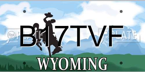 B17TVF Wyoming License Plate