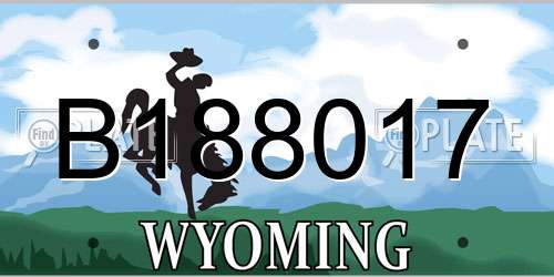 B188017 Wyoming License Plate