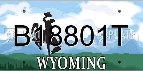 B18801T Wyoming License Plate