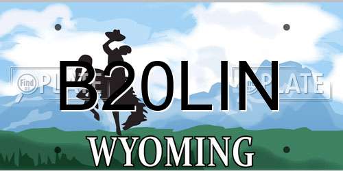 B20LIN Wyoming License Plate