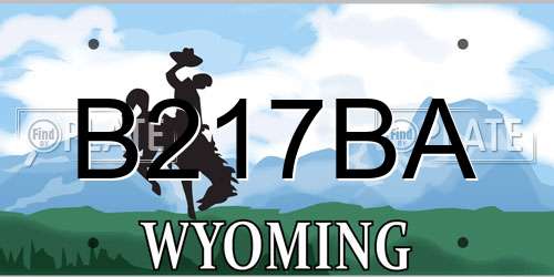 B217BA Wyoming License Plate