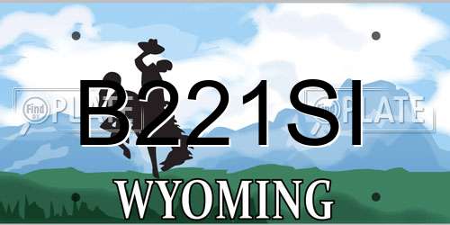 B221SI Wyoming License Plate