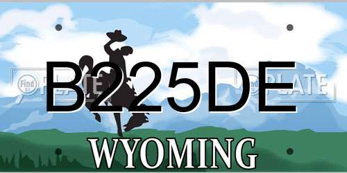 B225DE Wyoming License Plate