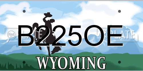 B225OE Wyoming License Plate