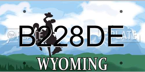 B228DE Wyoming License Plate