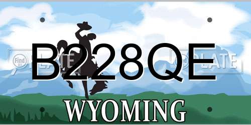 B228QE Wyoming License Plate