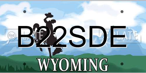 B22SDE Wyoming License Plate