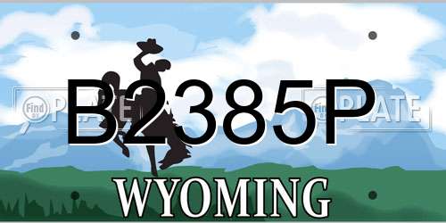 B2385P Wyoming License Plate