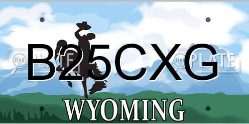 B25CXG Wyoming License Plate