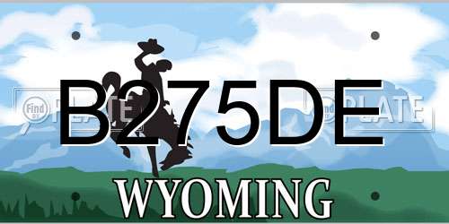 B275DE Wyoming License Plate