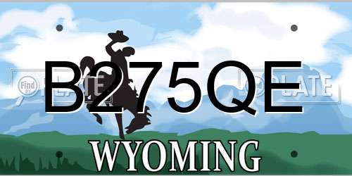 B275QE Wyoming License Plate