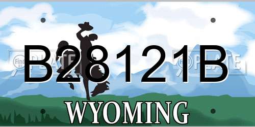 B28121B Wyoming License Plate