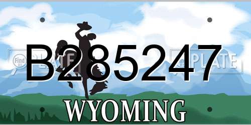 B285247 Wyoming License Plate