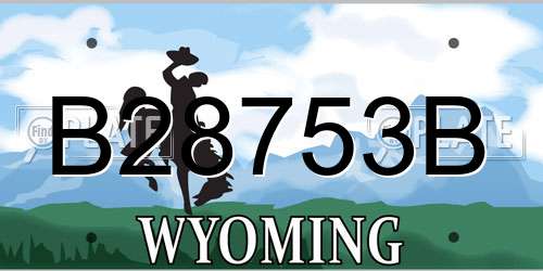 B28753B Wyoming License Plate